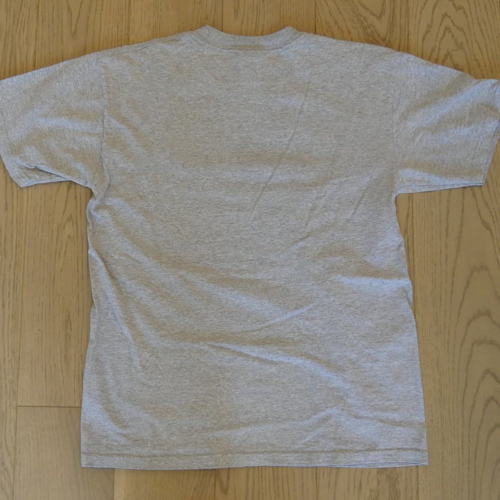 Perennial Pleasures Club Gildan Vintage 2000's Grey Medium T-Shirt - Picture 4 of 4